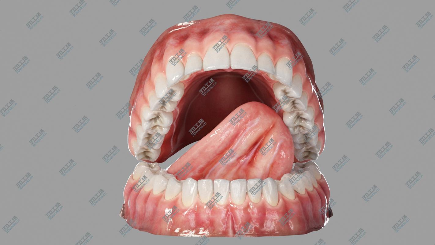 images/goods_img/202104023/Realistic Human Mouth Teeth Tongue Rigged 3D model/4.jpg